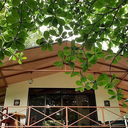 卡维塔Casa Martina公寓 外观 照片