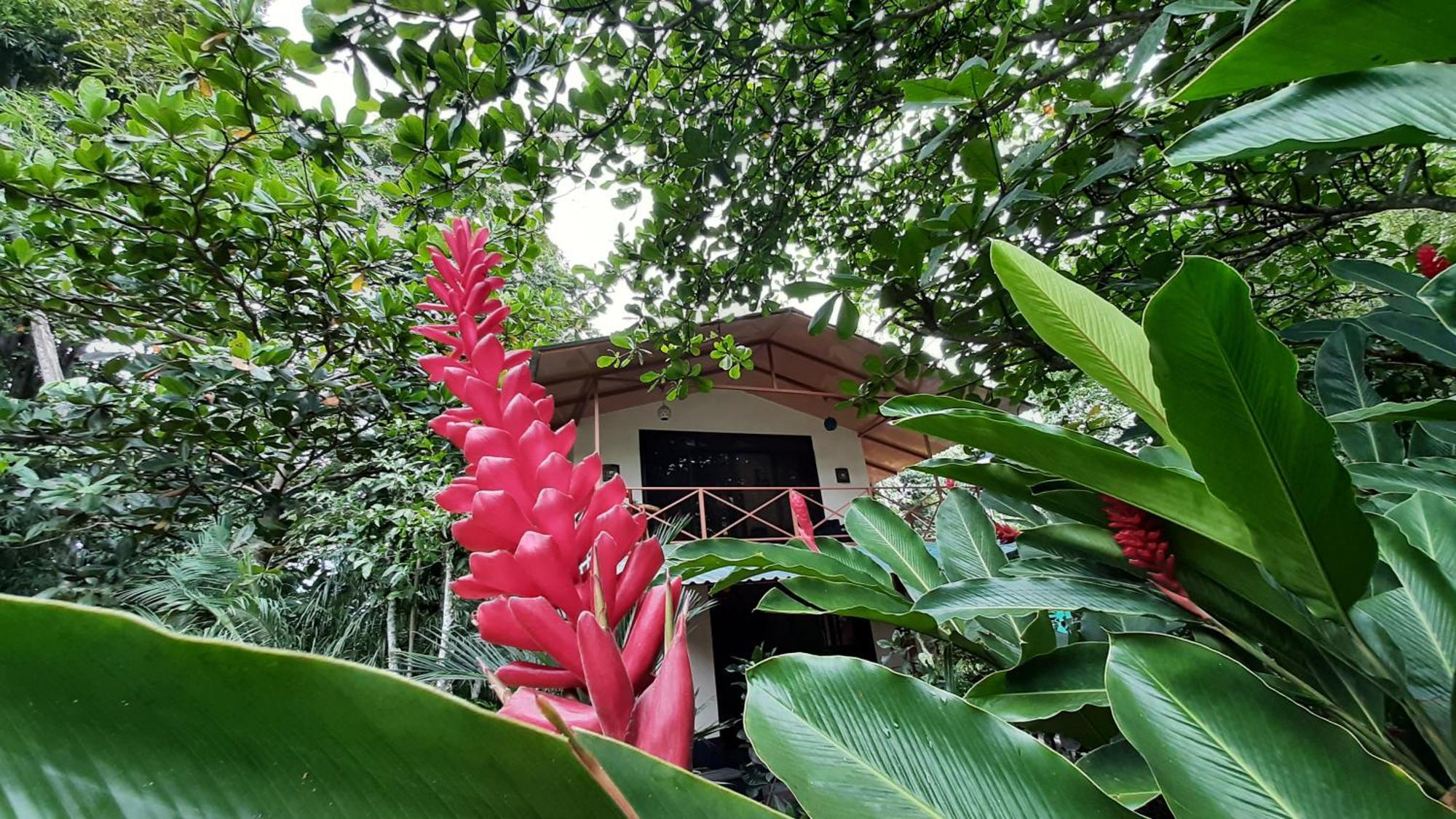 卡维塔Casa Martina公寓 外观 照片